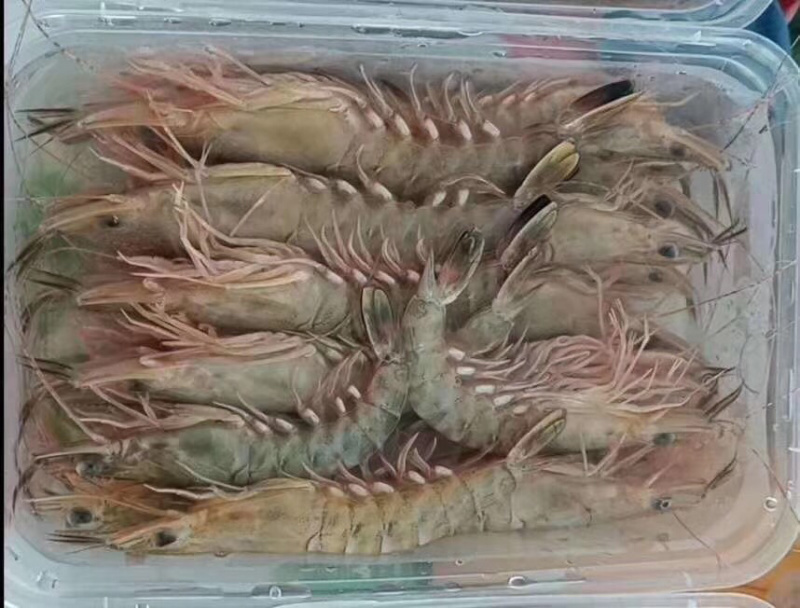 财虾
