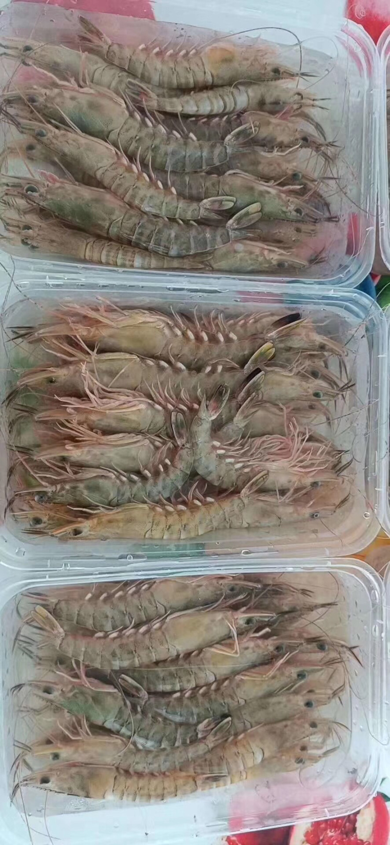 财虾