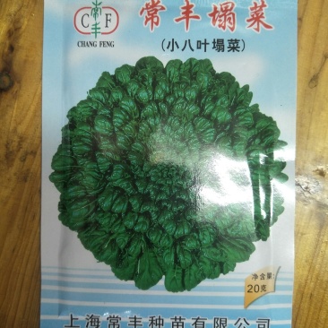 乌塌菜种子小八叶塌菜耐寒性强口感甜嫩纤维少耐抽苔