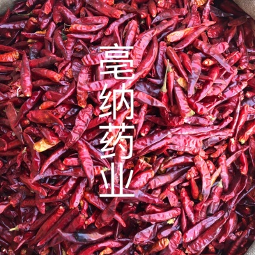 辣椒干辣椒🌶️朝天椒子弹头辣椒微辣超香可磨粉