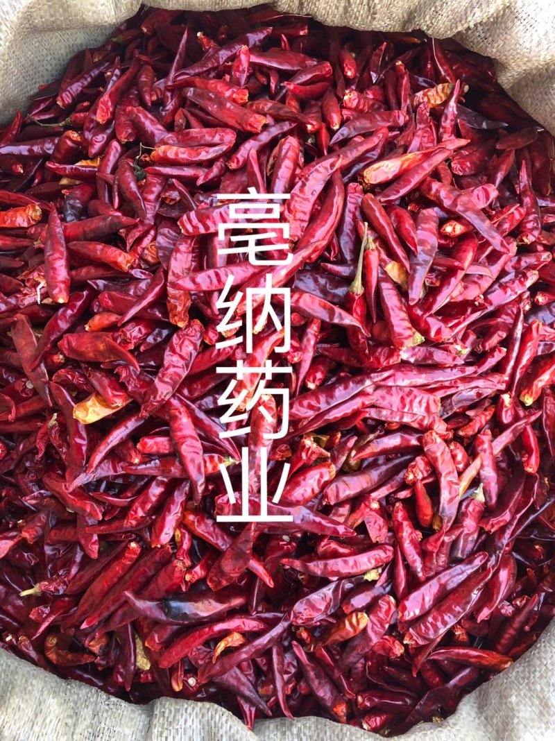 辣椒干辣椒🌶️朝天椒子弹头辣椒微辣超香可磨粉