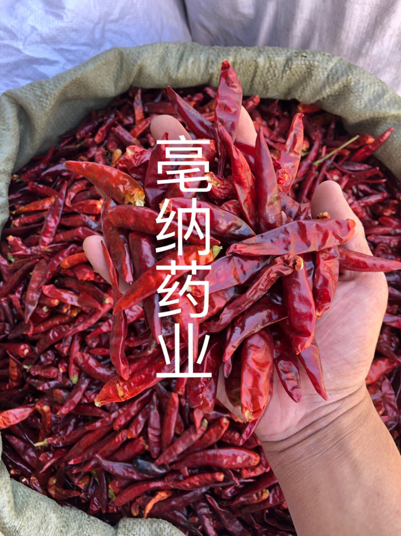 辣椒干辣椒🌶️朝天椒子弹头辣椒微辣超香可磨粉