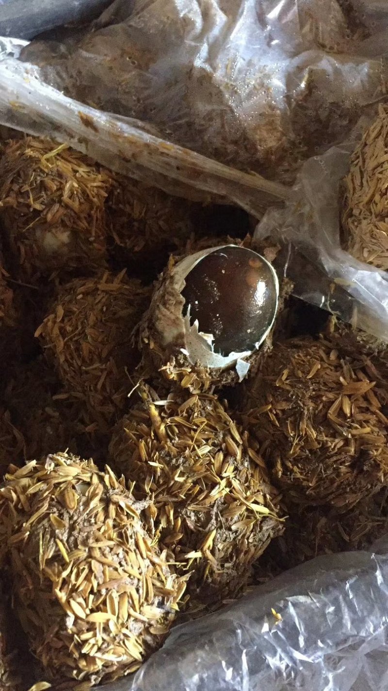 徐州特产，松花皮蛋，老式包泥地摊货皮蛋，跑江湖十元模式