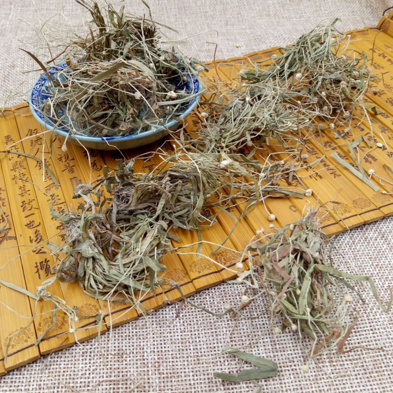 谷精草中草药安徽野生谷精草珍珠草耳朵刷子挖耳朵草
