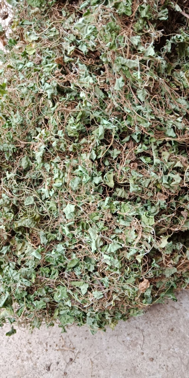 药材马蹄筋，金钱草