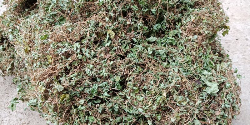 药材马蹄筋，金钱草