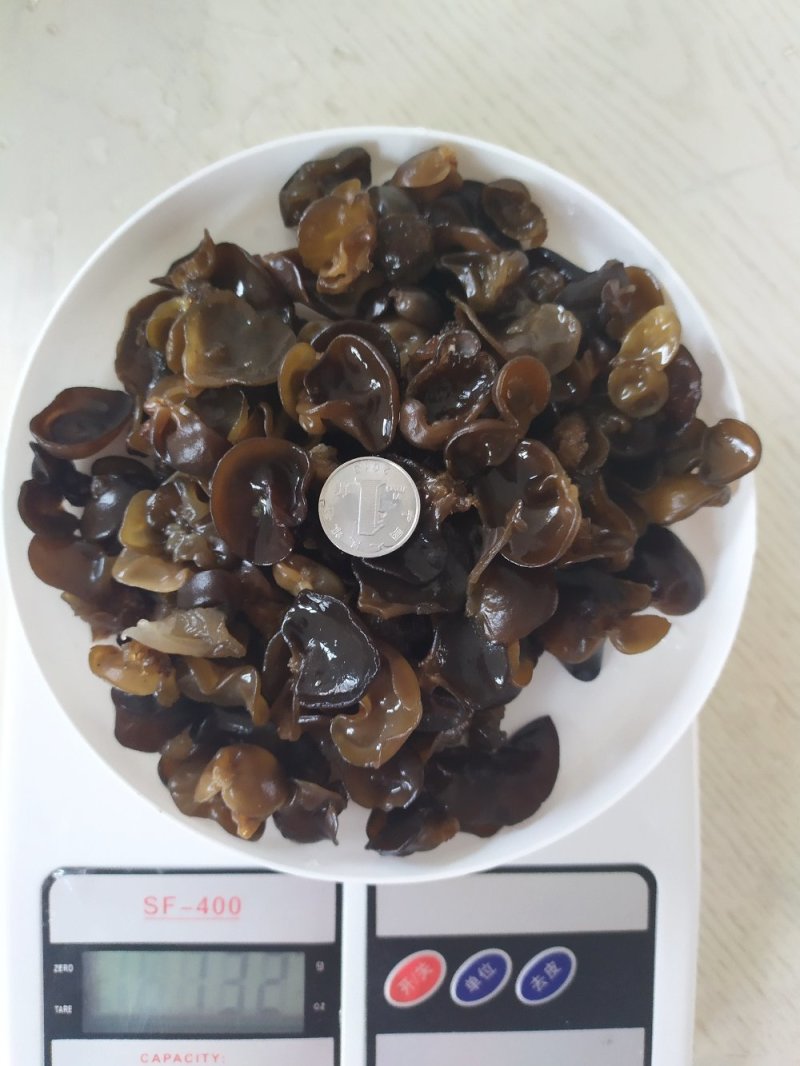 碎木耳干净无杂质，黑龙江木耳，优质木耳