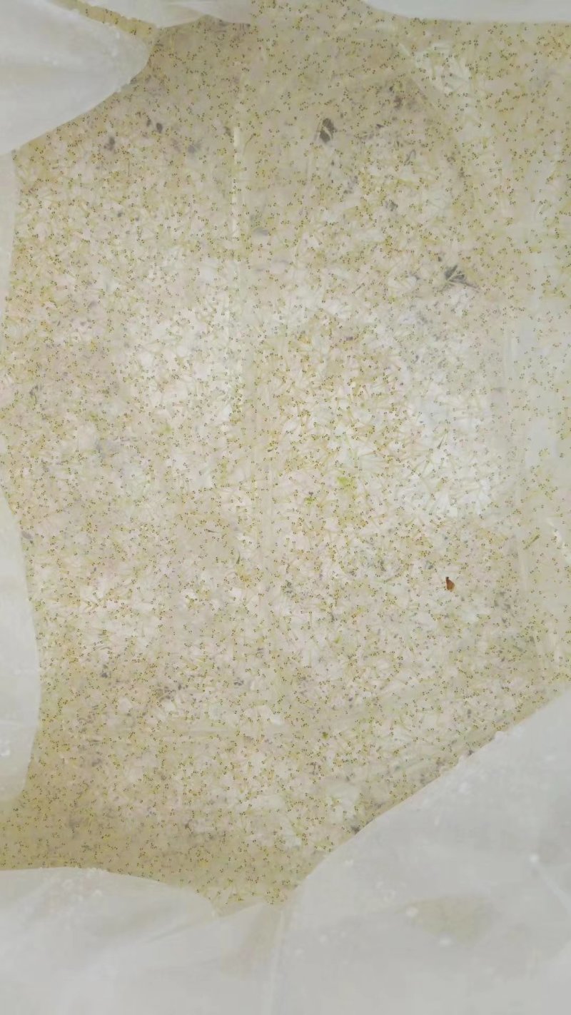 花洲锦鲤，渔场直销，红白大正，秋翠孔雀，银鳞火鲤，银鳞