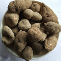 三叶青金丝吊各种规格批发零售中药材