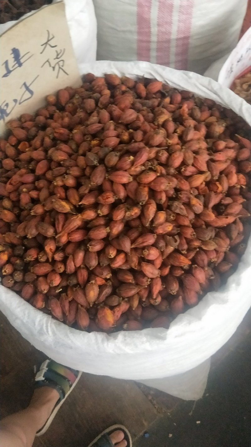 黄精甜大个子可以煲汤，泡茶渴