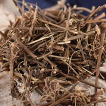 马兰根马兰根中药材马兰草根马兰草路边菊蟛蜞鱼鳅