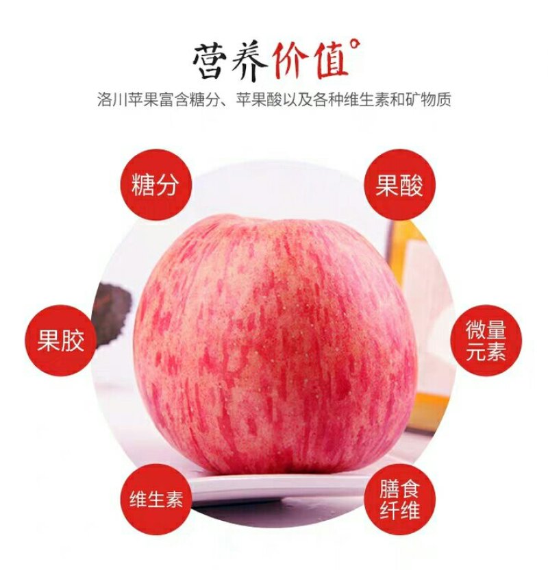 陕北延安山地红富士苹果