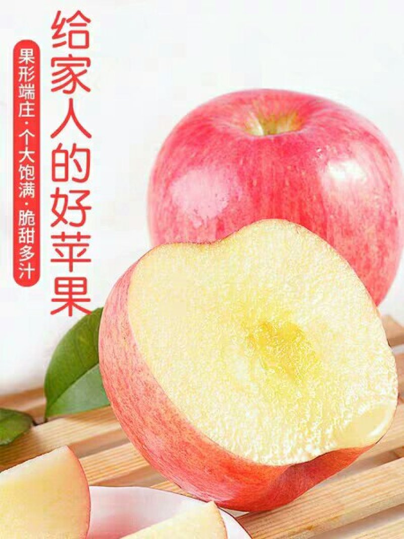 陕北延安山地红富士苹果