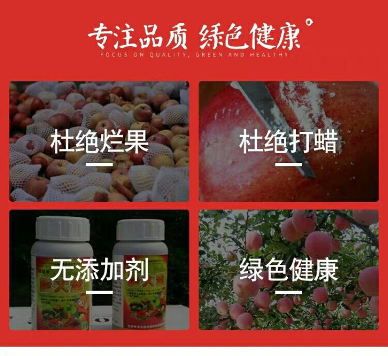 陕北延安山地红富士苹果