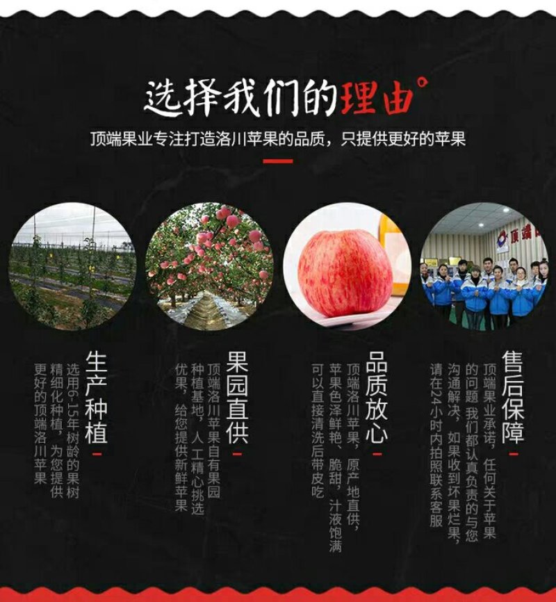 陕北延安山地红富士苹果