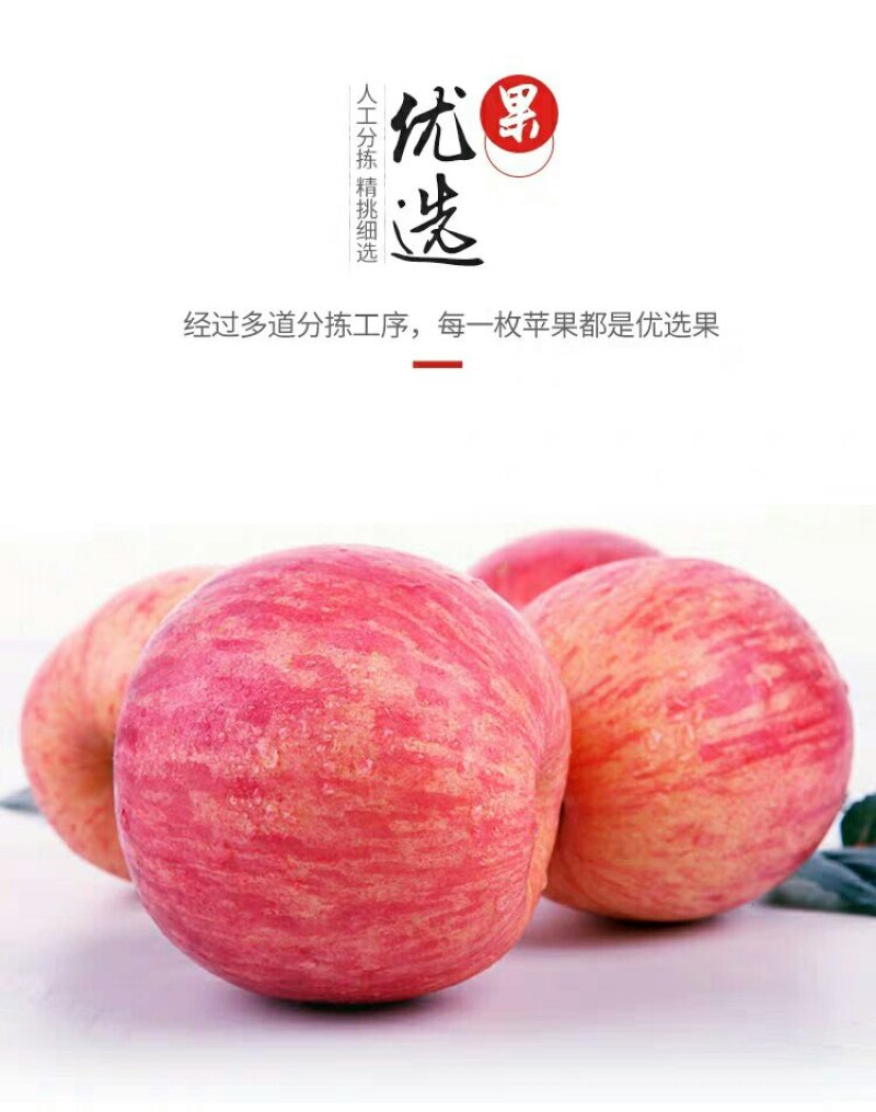 陕北延安山地红富士苹果