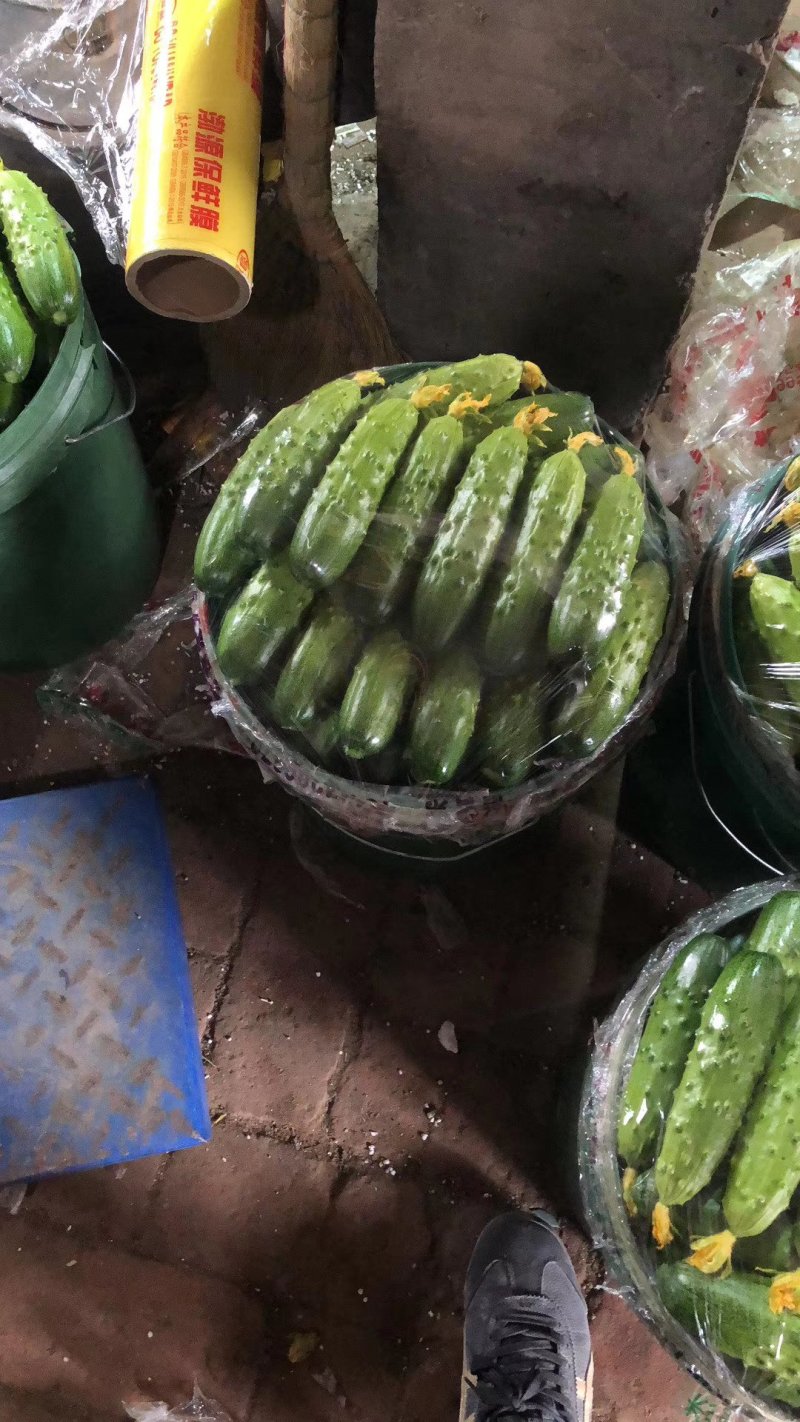 精品口感好