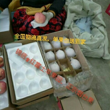 烟台红富士苹果