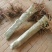 洛阳牡丹重瓣多层分株苗