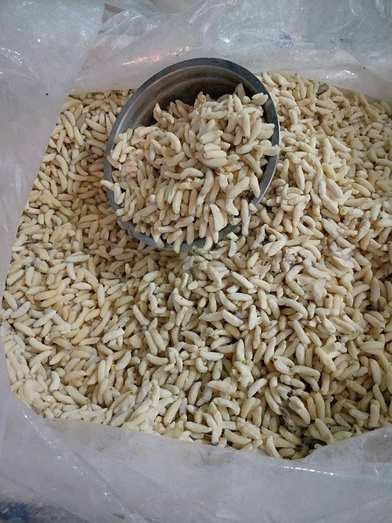 蜂蛹树蜂地雷锋黄蜂黑尾带巢活蜂熟冻蜂蛹野生蜂蛹