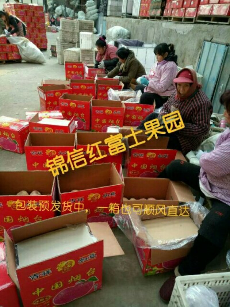 烟台红富士，一箱代发