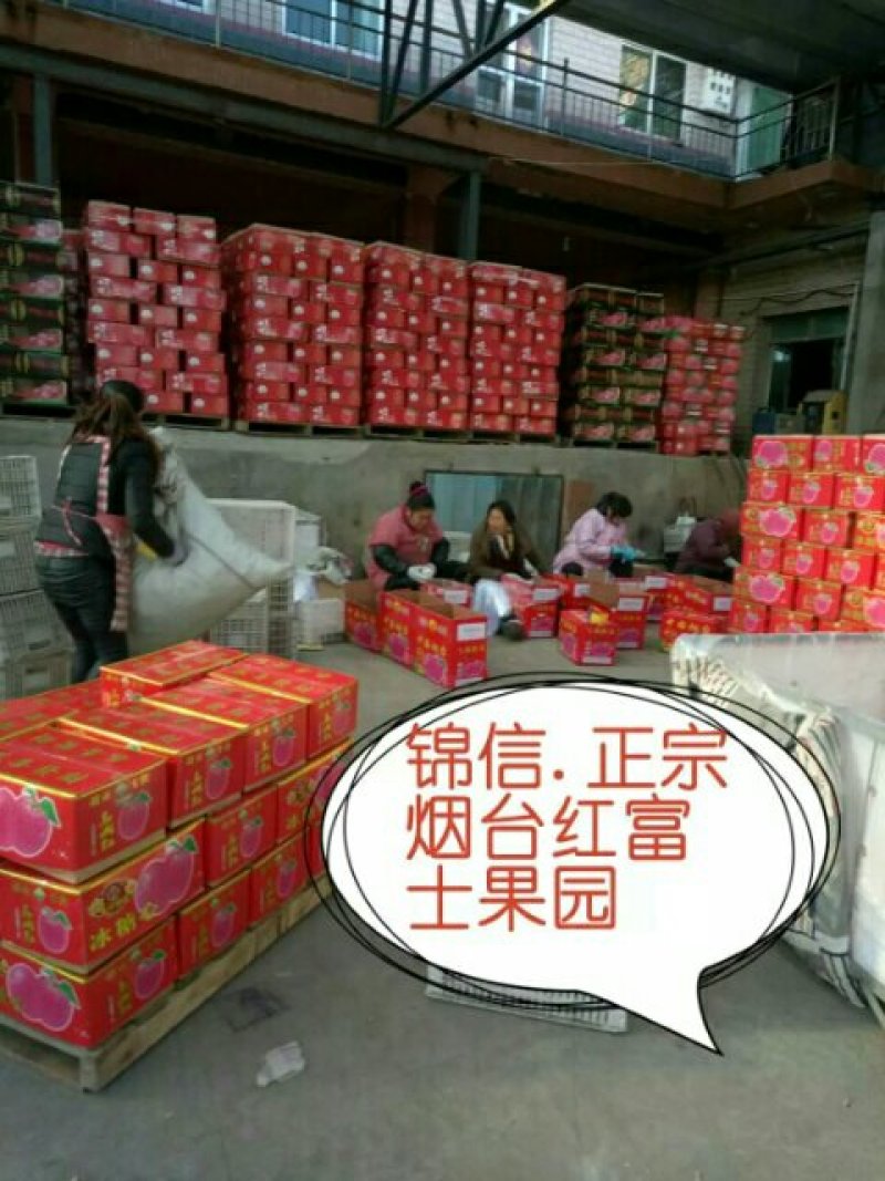 烟台红富士，一箱代发