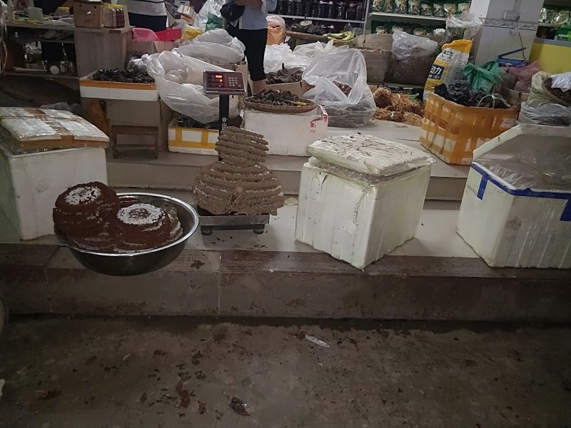 蜂蛹树蜂地雷锋黄蜂黑尾带巢活蜂熟冻蜂蛹野生蜂蛹
