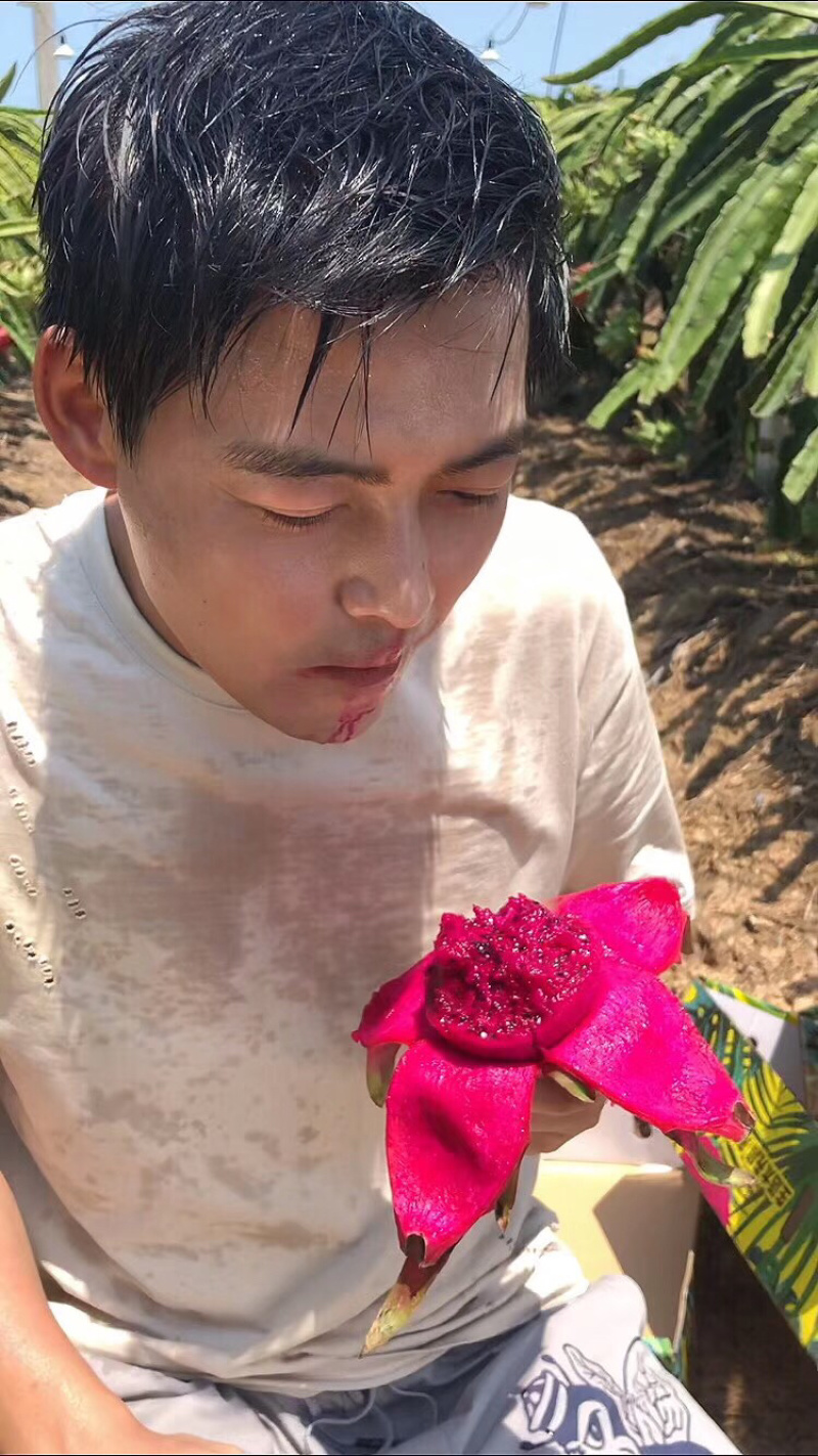 火龙果