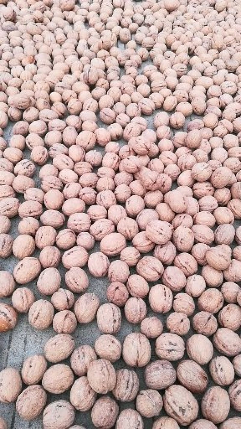 纯香玲薄皮核桃干果皮薄肉香