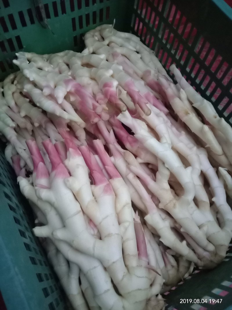 重庆本地子姜