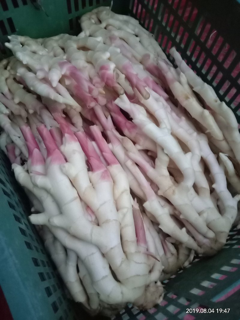 重庆本地子姜