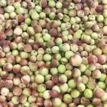 青州蜜桃