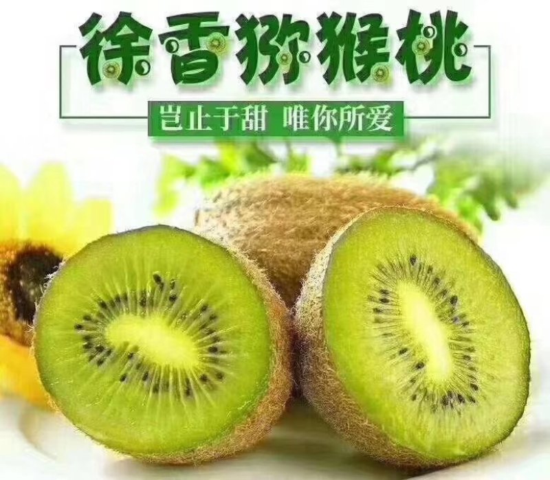 陕西徐香猕猴桃五斤装