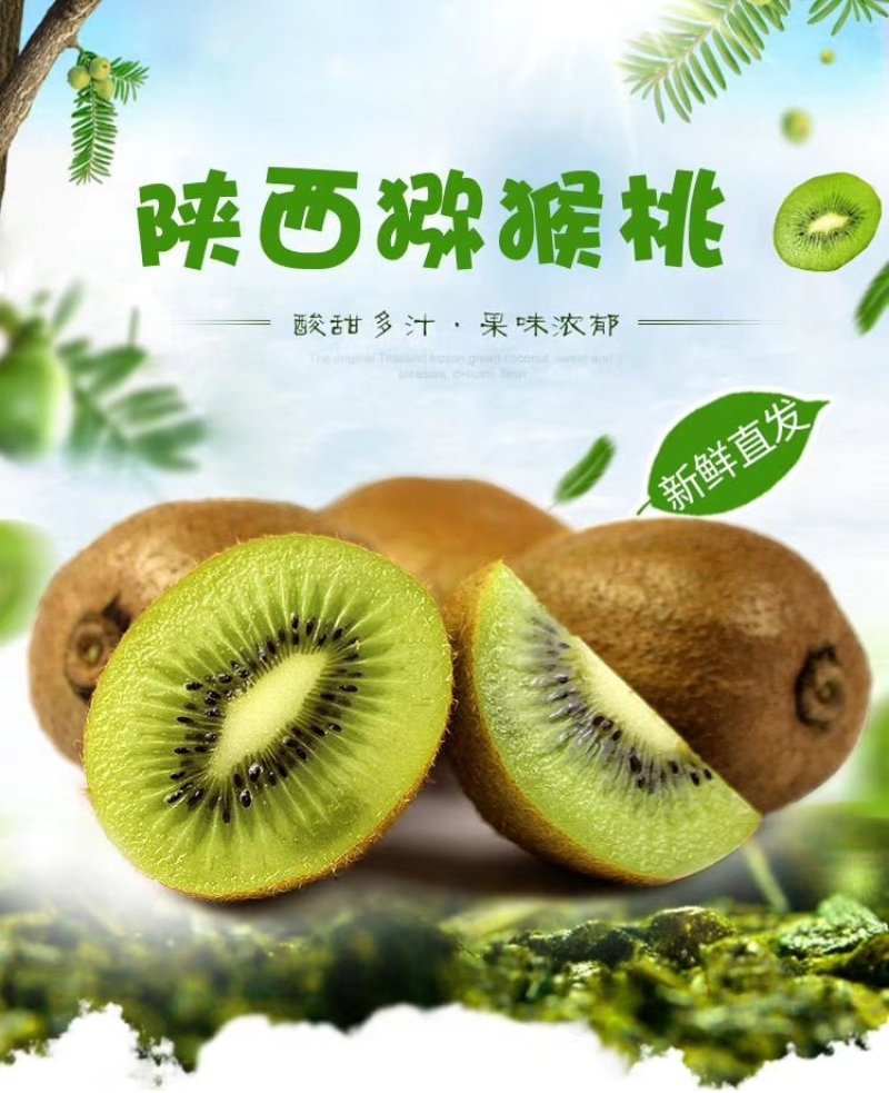 陕西徐香猕猴桃五斤装