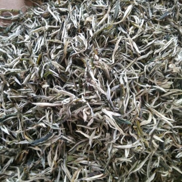 普洱白茶，绿茶