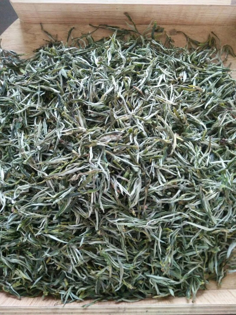 普洱白茶，绿茶