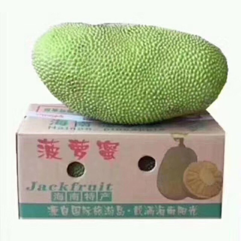 海南三亚菠萝蜜新鲜水果波罗蜜当季整箱特产