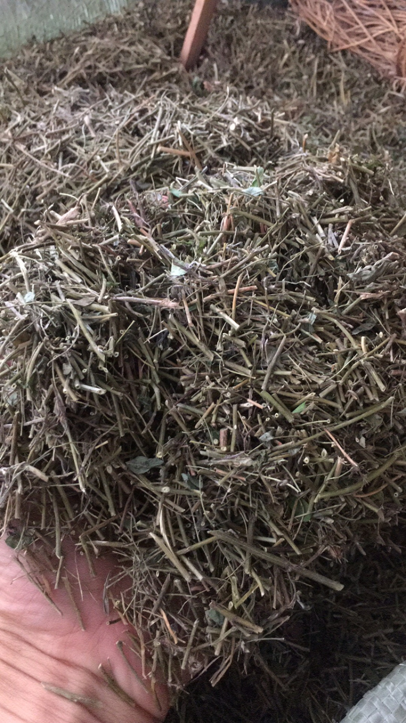 鸡骨草