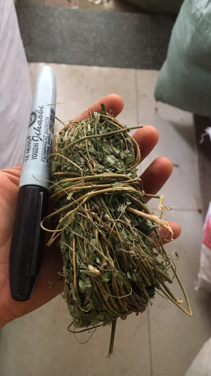 鸡骨草