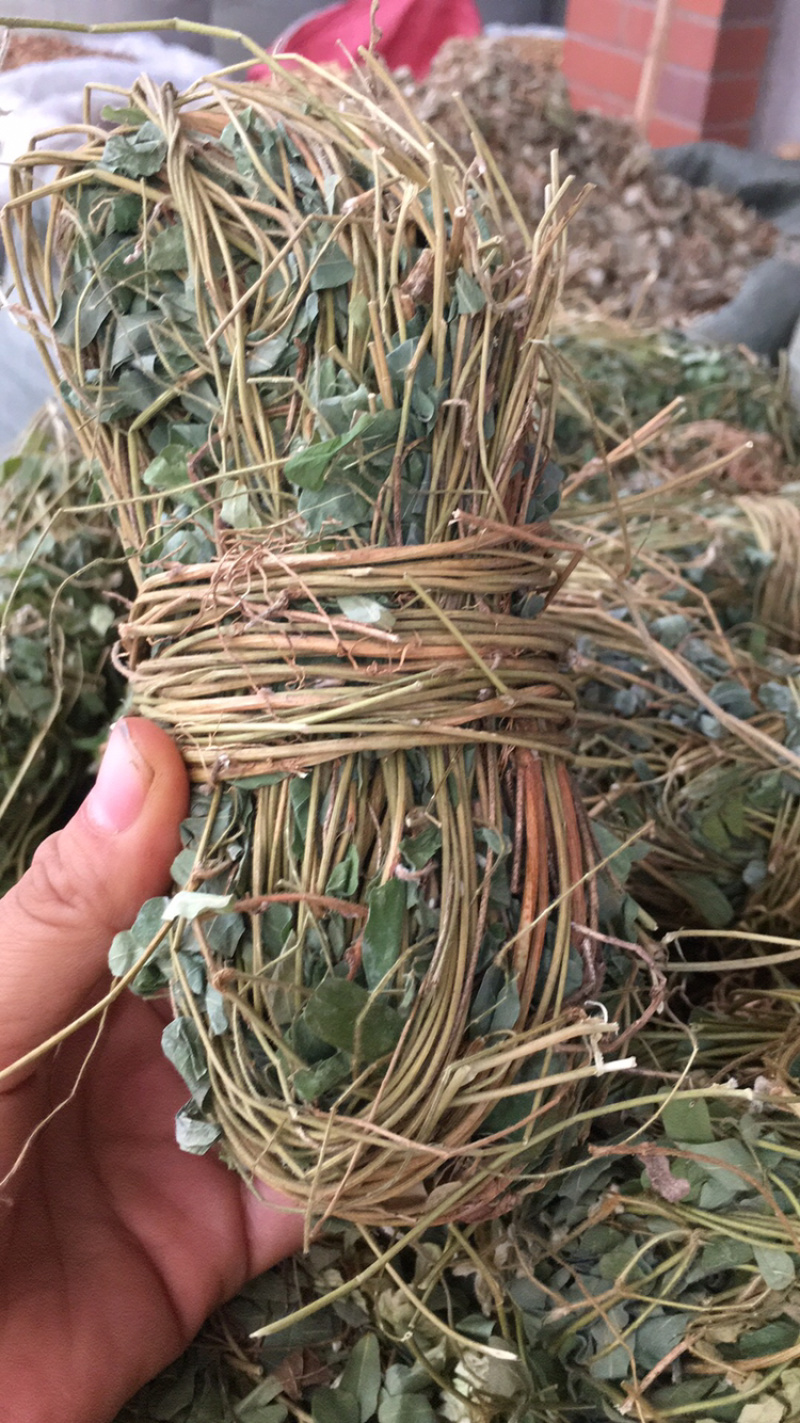 鸡骨草