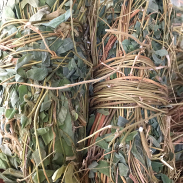 鸡骨草