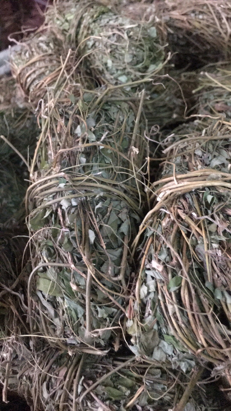鸡骨草
