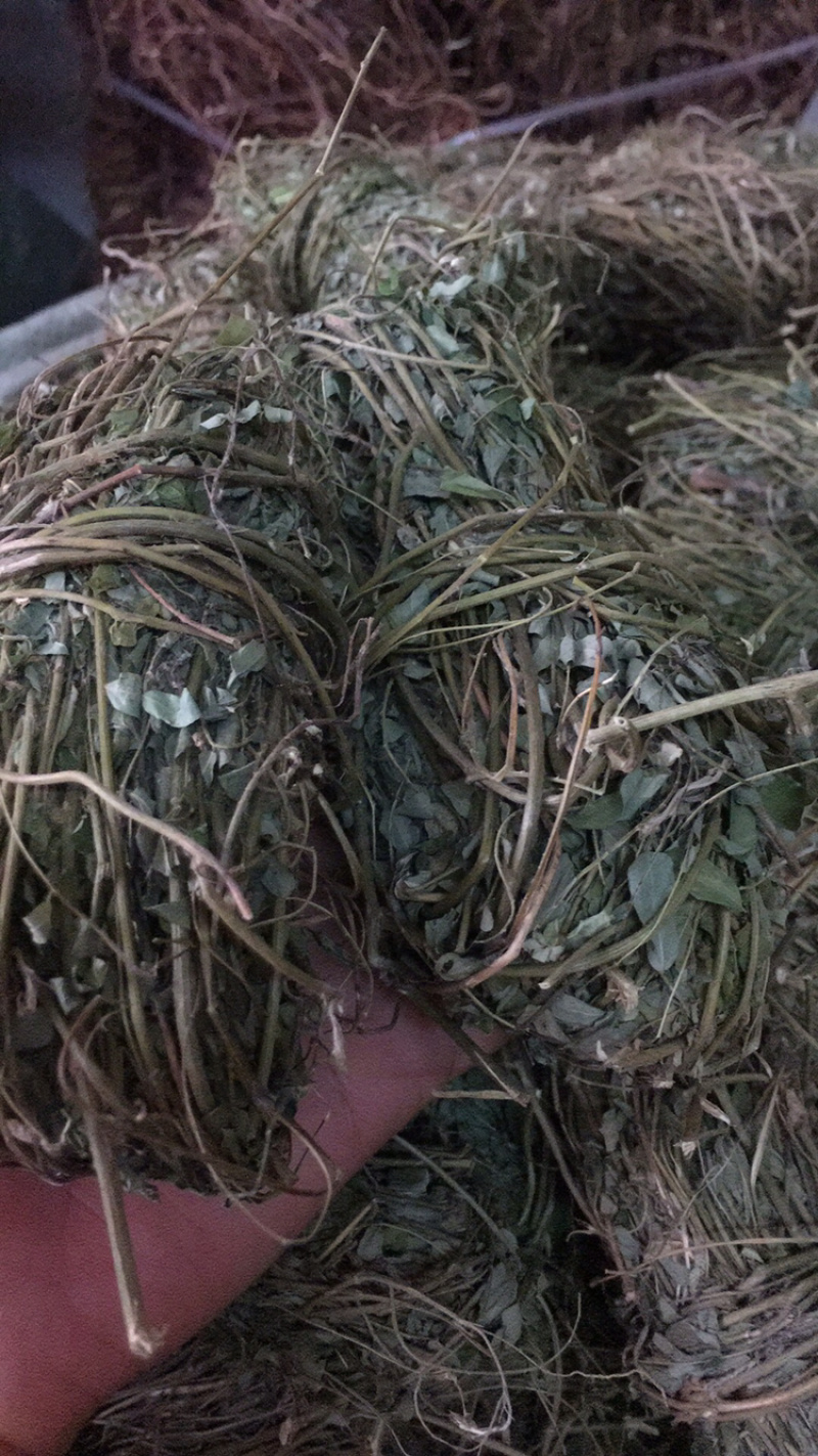 鸡骨草