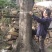 10-20皂角树