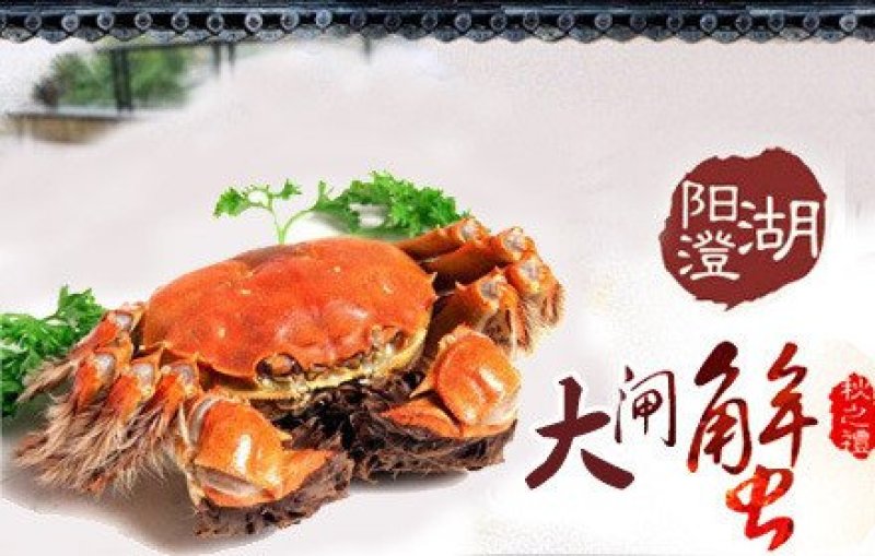 苏州太湖大闸蟹