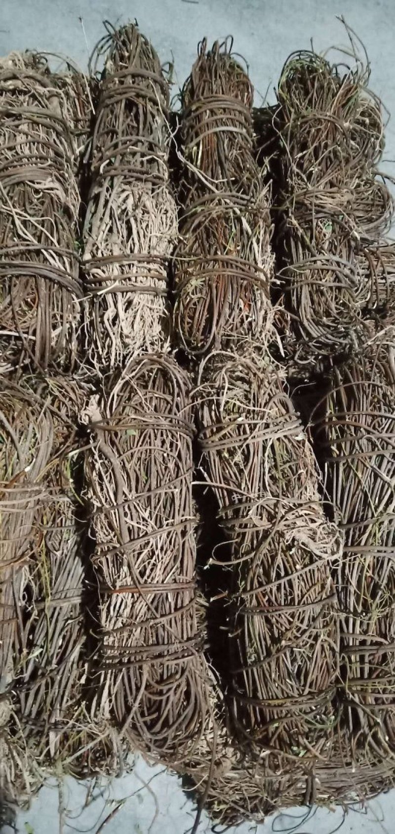 鸡骨草