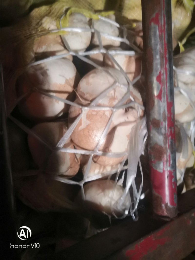 精品湖北地瓜土瓜凉薯沙葛，超市档口供应链大量从优