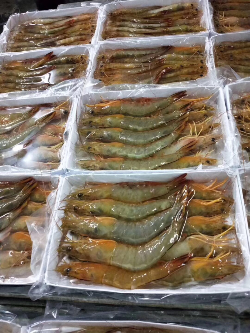 大明虾