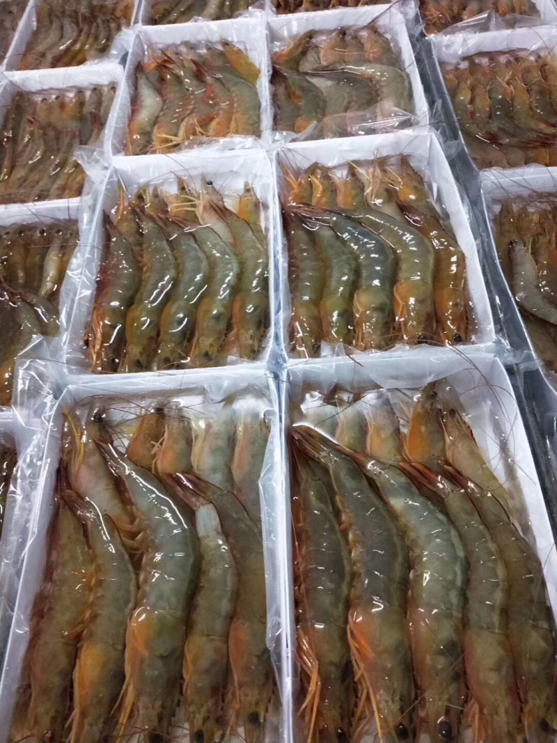 大明虾