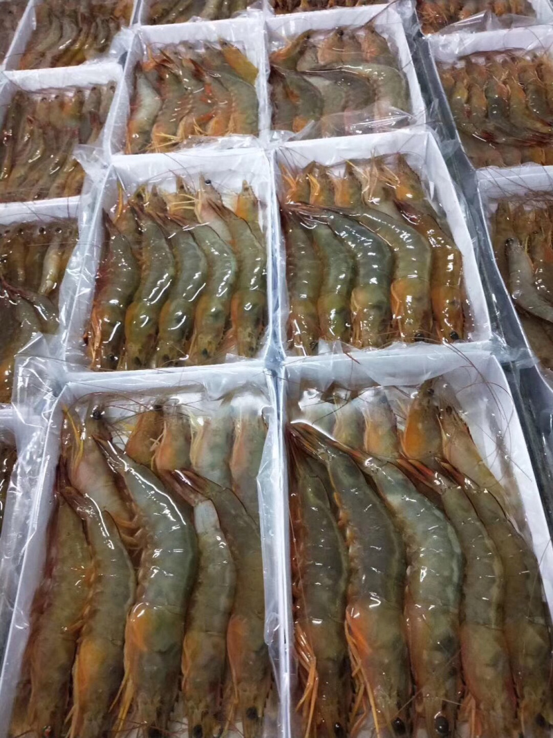 大明虾